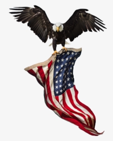 American Flag Eagle Background, HD Png Download, Transparent PNG