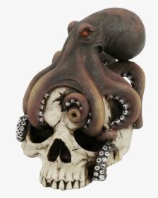 Octopus On Skull - Skull, HD Png Download, Transparent PNG