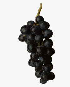 Black Grapes Png Image - Black Grape Png, Transparent Png, Transparent PNG