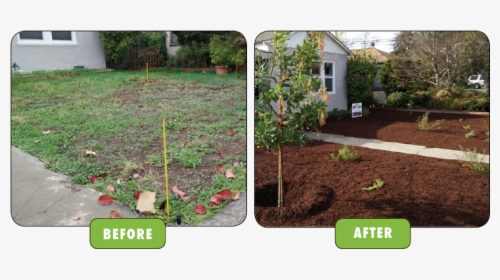 Planting Trees Before After, HD Png Download, Transparent PNG