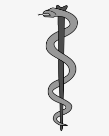 Rod Of Asclepius, HD Png Download, Transparent PNG