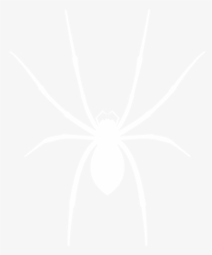 Spider-white - Johns Hopkins Logo White, HD Png Download, Transparent PNG