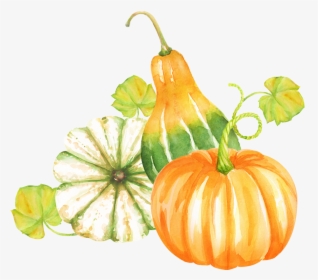Transparent Pumpkin Clip Art - Action De Grace Citrouille, HD Png Download, Transparent PNG