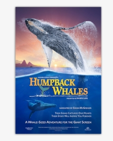 Humpback Whales Poster - Humpback Whales Movie Poster, HD Png Download, Transparent PNG