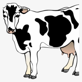 Free Cow Clipart Cow Clipart Cow 11 Clip Art Vector - Cow Clipart Transparent Background, HD Png Download, Transparent PNG