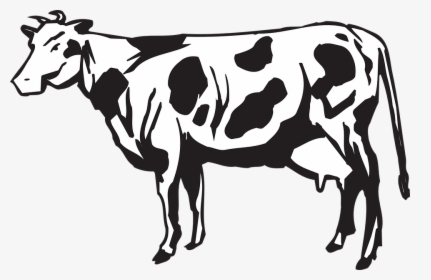 Dairy Cows Vector Graphics - Clip Art Cows Herd, HD Png Download, Transparent PNG