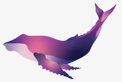 Humpback Whale - Illustration, HD Png Download, Transparent PNG