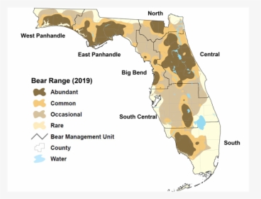 Image Via Florida Fish And Wildlife Conservation Commission - Florida Bear Map 2019 Bear, HD Png Download, Transparent PNG