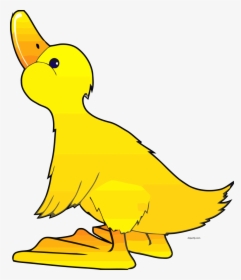 Free Clipart Duck, HD Png Download, Transparent PNG