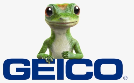 Geico Car Insurance, HD Png Download, Transparent PNG