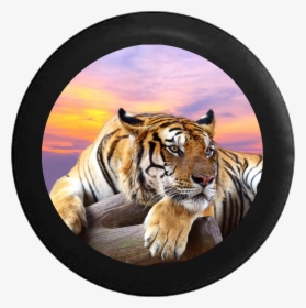 Lion Jungle Cat Sunset Sky On Log Jeep Camper Spare, HD Png Download, Transparent PNG