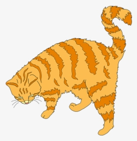 Ginger Cat Clipart, HD Png Download, Transparent PNG