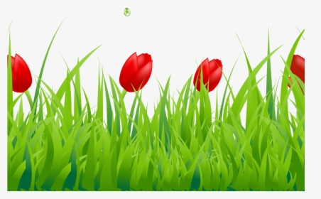 Spring Clipart Spring Grass Pencil And In Color Spring - Border Tulip Clip Art, HD Png Download, Transparent PNG