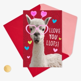 Love You Lots Llamas Valentine S Day - Llama, HD Png Download, Transparent PNG