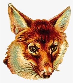 Transparent Vintage Animal Clipart - Vintage Fox Images Free To Use, HD Png Download, Transparent PNG