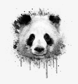 Watercolor Panda Png, Transparent Png, Transparent PNG