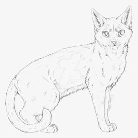Transparent Cat Drawing Png - Realistic Cat Lineart, Png Download, Transparent PNG