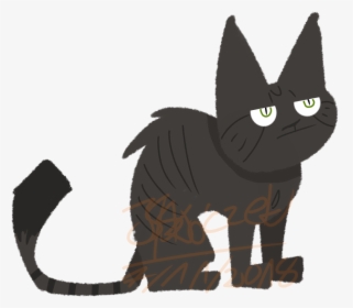 Black Cat, HD Png Download, Transparent PNG