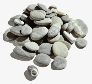 Shingle Beaches - Pebble, HD Png Download, Transparent PNG