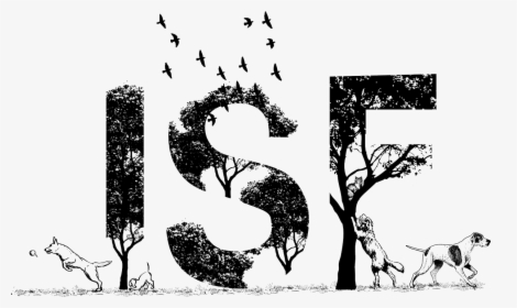 Illustration, HD Png Download, Transparent PNG