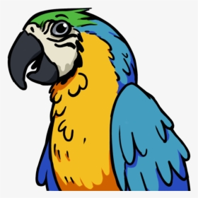 Ludosity Wiki - Macaw, HD Png Download, Transparent PNG