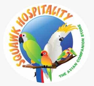 Squawk Hospitality - Never Mind The Dog Beware, HD Png Download, Transparent PNG