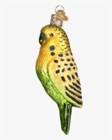 Parakeet Christmas Ornament, HD Png Download, Transparent PNG