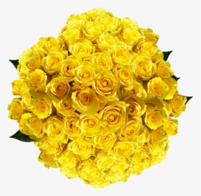 Vibrant Pure Yellow Roses - Floribunda, HD Png Download, Transparent PNG