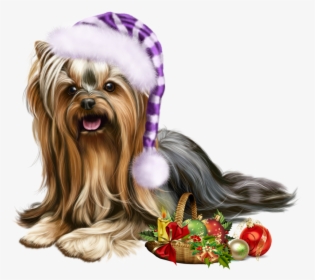 Yorkie Elf Dog Vector, HD Png Download, Transparent PNG