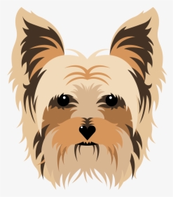 Australian Terrier, HD Png Download, Transparent PNG