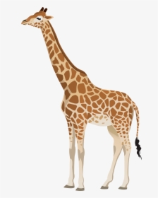 Giraffe Clipart Png Clipart Black And White Download - Transparent Background Giraffe Clipart, Png Download, Transparent PNG