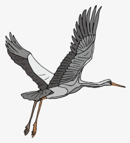 Stork Vector Heron - Crane Bird Clip Art Flying, HD Png Download, Transparent PNG