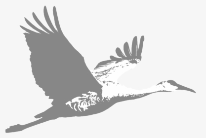 Crane - Grassland Birds Flying, HD Png Download, Transparent PNG
