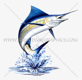 Transparent Fish Jumping Out Of Water Clipart - Marlin Fish, HD Png Download, Transparent PNG