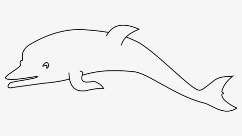 Drawing Indo Pacific Humpbacked Dolphin, HD Png Download, Transparent PNG