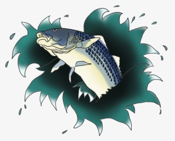 Transparent Fish Jumping Out Of Water Clipart - Drawing, HD Png Download, Transparent PNG