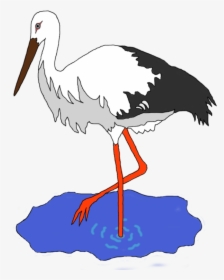 Seabird,water Bird,ciconiiformes - Crane Bird Clipart, HD Png Download, Transparent PNG
