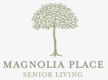 Magnolia Tree Png, Transparent Png, Transparent PNG