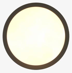 Circle, HD Png Download, Transparent PNG