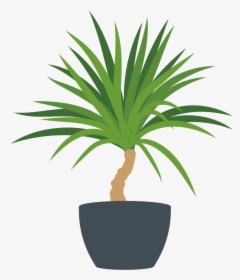 Docs - Yuccastream - Com - Flowerpot, HD Png Download, Transparent PNG