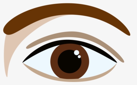 U-shaped Brow - Portable Network Graphics, HD Png Download, Transparent PNG
