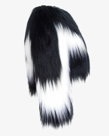 Black & White Yeti Colobus Bolero - Lace Wig, HD Png Download, Transparent PNG