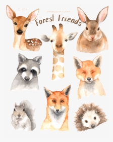 Watercolor Animal Material - Forest Friend Watercolor, HD Png Download, Transparent PNG