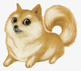 Doge Meme Transparent Png - Pomeranian Doge, Png Download, Transparent PNG
