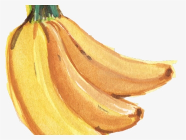 Banana Png Transparent Images - Banana Fruit Watercolor Png, Png Download, Transparent PNG
