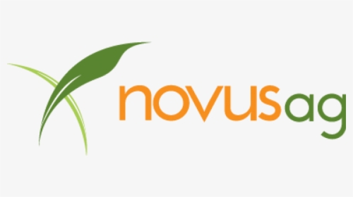 Cropped Eps Version Of Novus Logo - Amber, HD Png Download, Transparent PNG