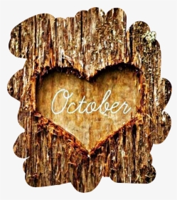 #tree #bark #heart #october #autumn #fall #freetoedit - October My Favorite Month, HD Png Download, Transparent PNG