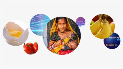 Nutrition Modeling Consortium - Plum Tomato, HD Png Download, Transparent PNG