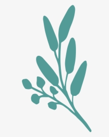 Twig, HD Png Download, Transparent PNG