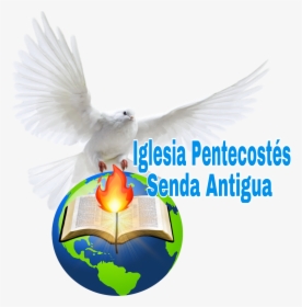 Iglesias Pentecostés Senda Antigua, Inc - Flight, HD Png Download, Transparent PNG